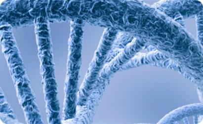 Biosample Nucleic Acid Purification